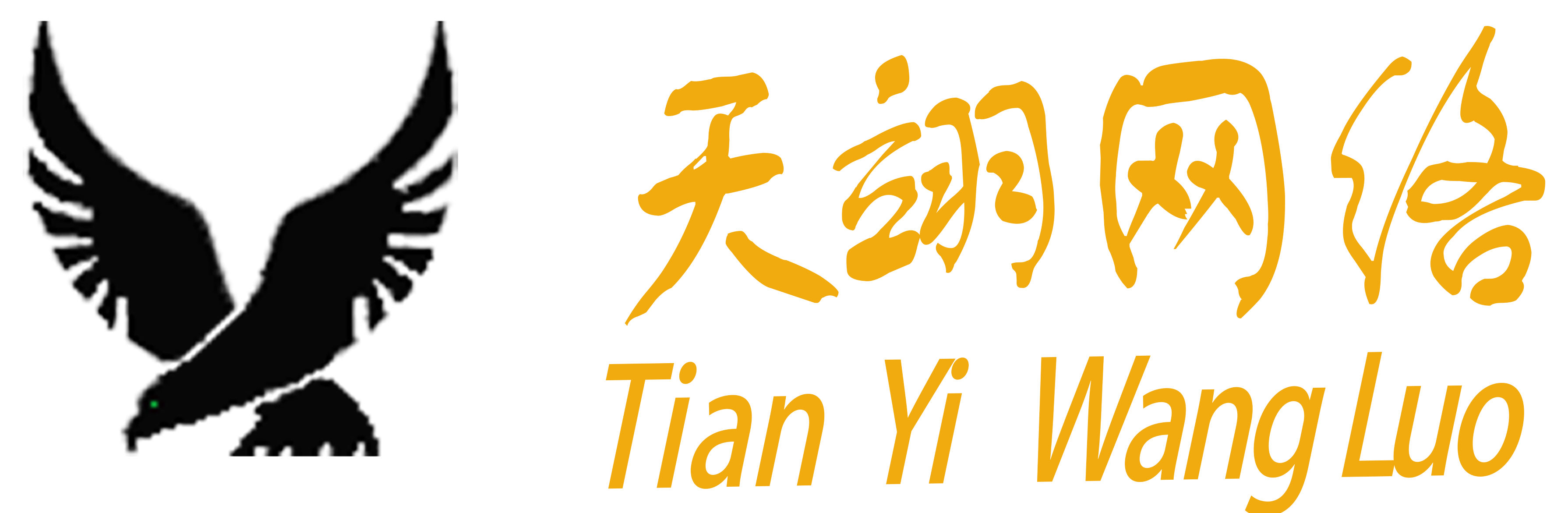 天翊网络